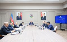 Состоялось первое в нынешнем году заседание Экономического совета Азербайджана (ФОТО)