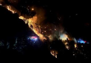 В турецкой провинции Аланья вспыхнул лесной пожар