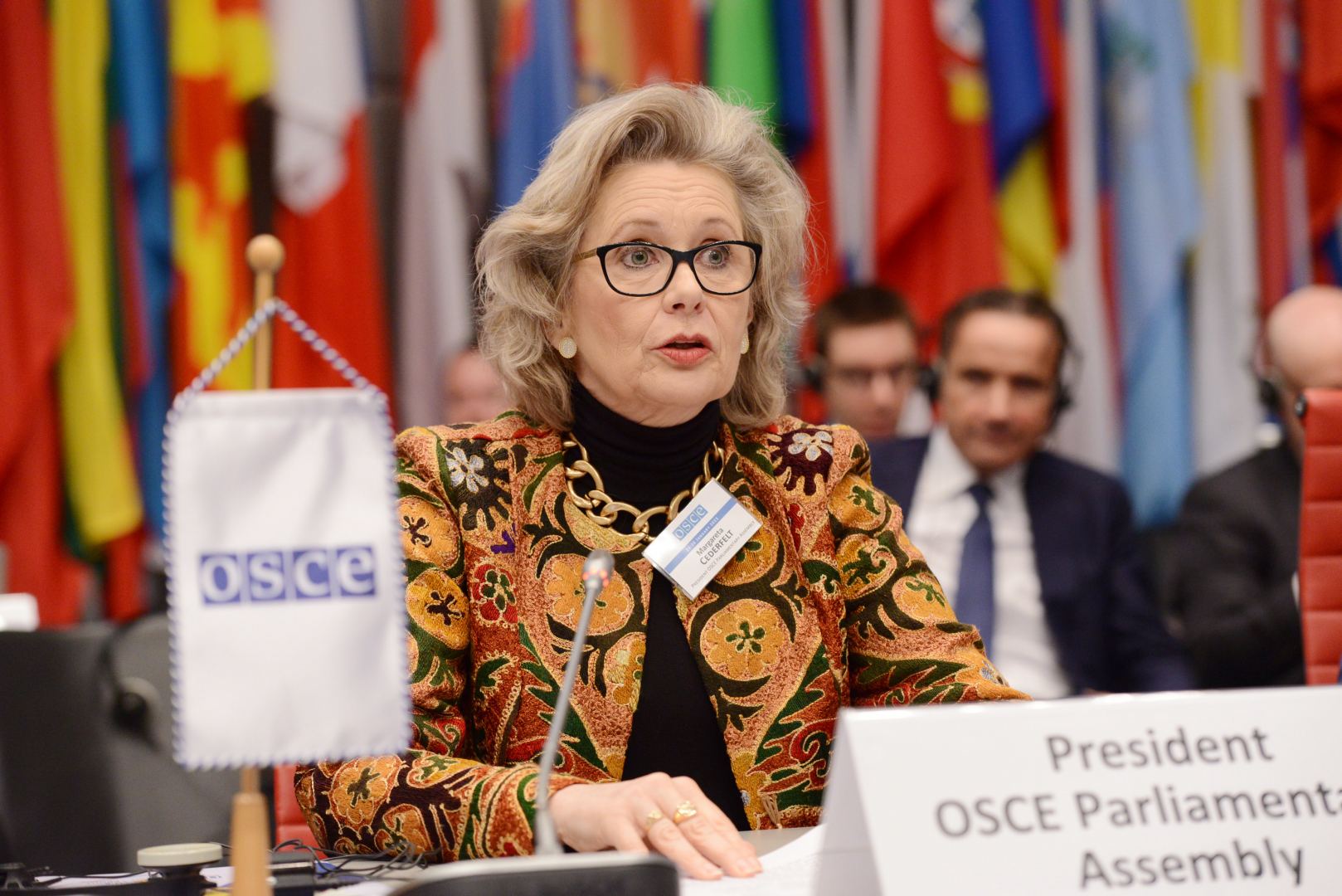 President of OSCE PA condemns attack on Azerbaijani Embassy in Tehran