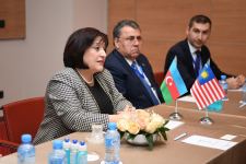 Chair of Azerbaijani parliament updates her Malaysian counterpart on terrorist attack on Azerbaijan Embassy in Iran (PHOTO)