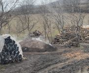 В Губе, Габале и Исмаиллы выявлены незаконные угольные скважины (ФОТО)