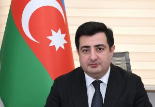 Azerbaijan appoints new first deputy chairman of ANAMA following presidential decree