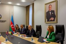 Азербайджан и Великобритания обсудили развитие Южного газового коридора (ФОТО)