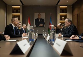 Azerbaijani, Hungarian FMs hold meeting (PHOTO)