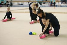 Milli Gimnastika Arenasında Şağan və Hövsandan olan gənc gimnastların toplanışı keçirilir