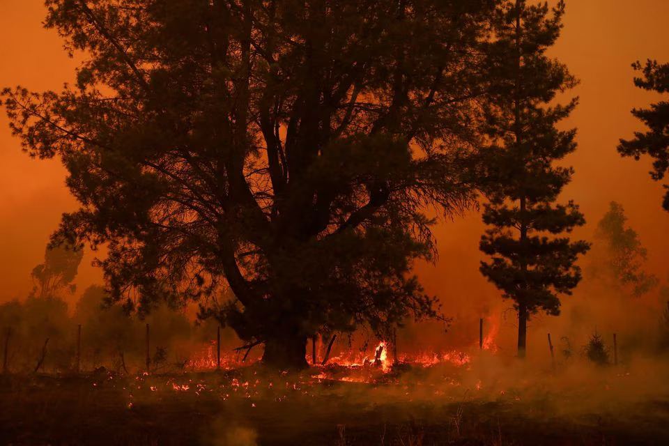 Chile declares 26 communes wildfire risk areas