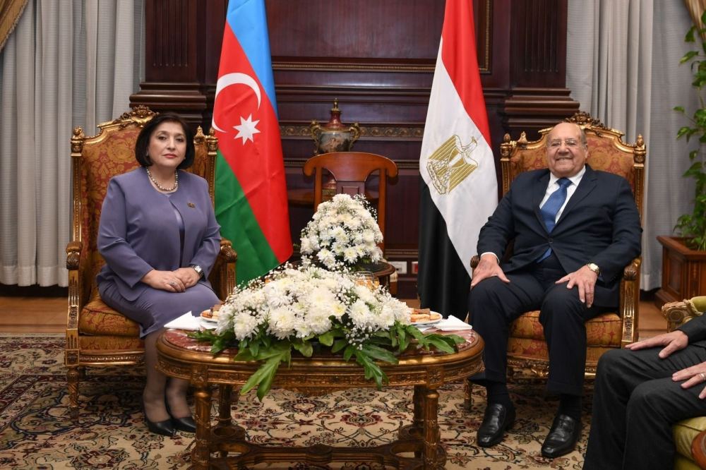 Sahibə Qafarova Misir Senatının sədri ilə görüşüb (FOTO)