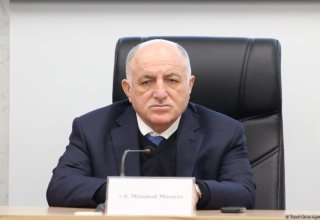 Private sector accounts for over 80% of Azerbaijan's GDP - official