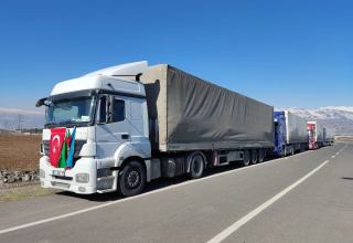 В Турцию прибыла третья автоколонна с гуманитарной помощью из Азербайджана (ФОТО/ВИДЕО)