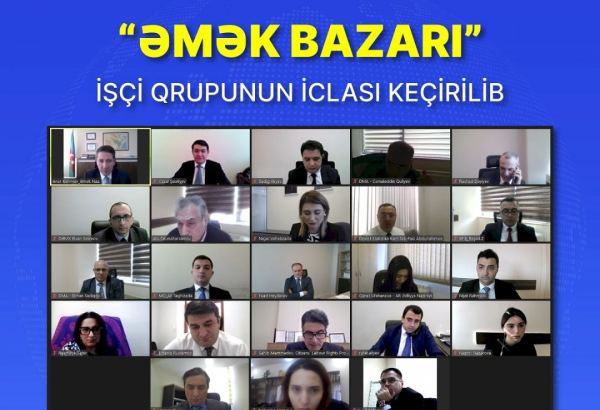 Azerbaijan's Labor Market Working Group holds regular meeting