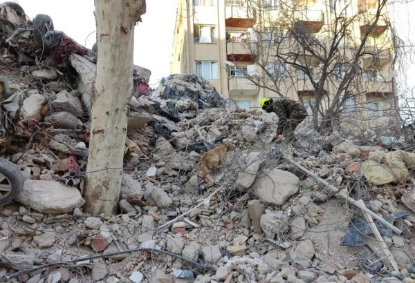 Azerbaijani Ministry of Emergency Situations continues search efforts in quake-hit Türkiye (PHOTO/VIDEO)