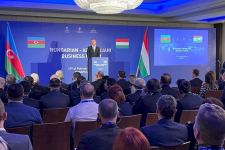 Azerbaijan-Hungary Business Forum takes place in Budapest (PHOTO)