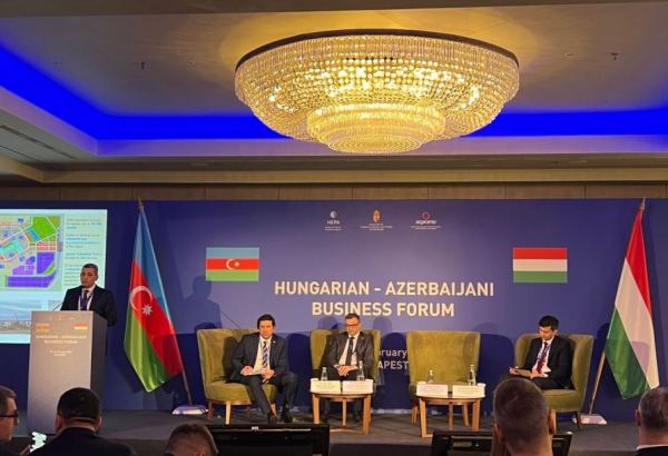На азербайджано-венгерском бизнес-форуме обсудили градостроительную деятельность на освобожденных землях Азербайджана (ФОТО)