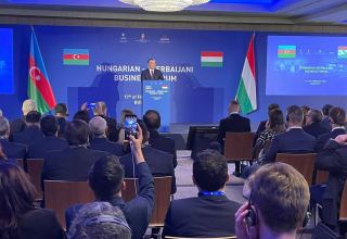 В Будапеште прошел азербайджано-венгерский бизнес-форум (ФОТО)