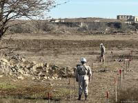 Армяне заминировали территории вокруг массовых захоронений в Физули (ФОТО/ВИДЕО)