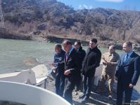 Brook trouts released into Hakari river in Azerbaijan's Lachin district (PHOTO)