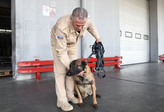 US hands over more sapper dogs to Azerbaijan for de-mining liberated areas (PHOTO/VIDEO)