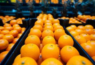 Azerbaijan strengthens control measures on import of oranges from Iran