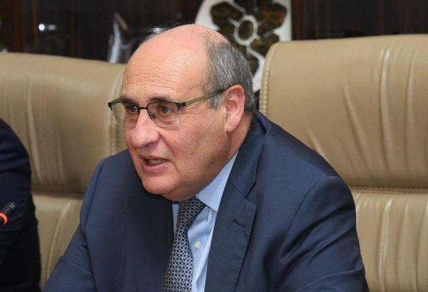 IOM, Azerbaijan have fruitful bilateral co-op - director general