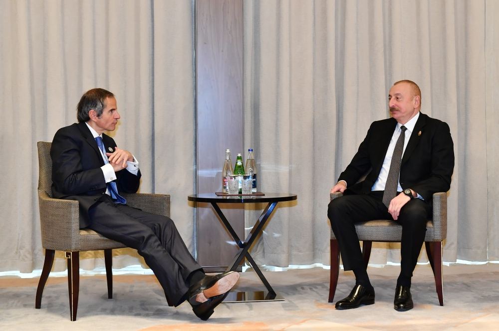 Президент Ильхам Алиев принял генерального директора МАГАТЭ (ФОТО)