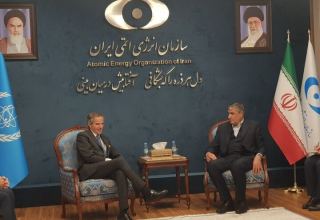 AEOI, IAEA chiefs meet in Tehran