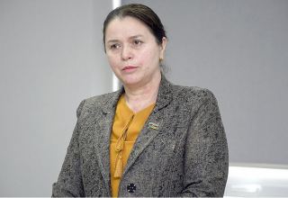 Ermənistanın davranışı beynəlxalq konvensiyalara ziddir və cinayət əməlidir - Sevinc Hüseynova