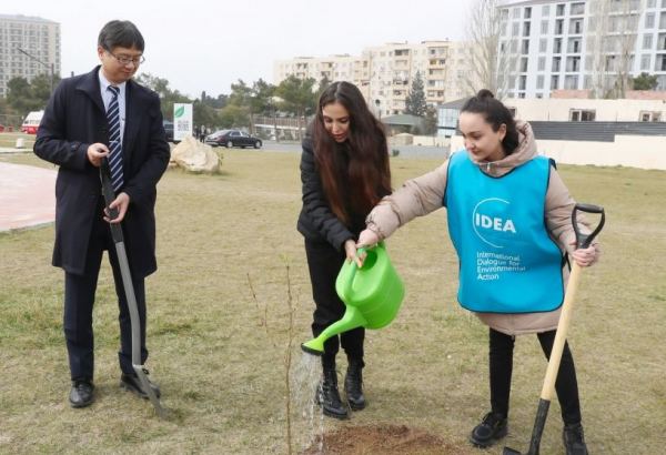 Heydar Aliyev Foundation’s VP Leyla Aliyeva takes part in “Green Marathon 2023” tree-planting campaign (PHOTO)