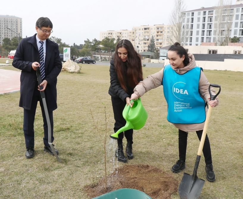 Стартовала кампания по посадке деревьев "Зеленый марафон 2023" (ФОТО)