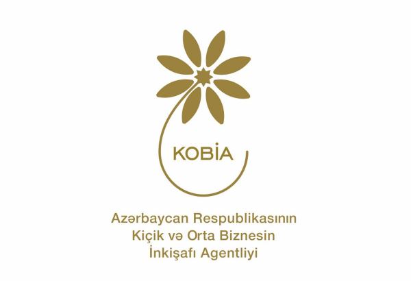 Больше всего стартап-сертификатов в Азербайджане выдано проектам в сфере услуг