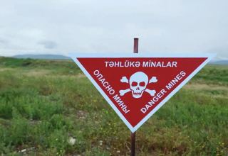 Armenia's landmine threat on Azerbaijan's lands must come to an end - Azerbaijani MFA