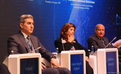 X Qlobal Bakı Forumu: Miqrasiya problemini yaradan amillərlə bağlı müzakirələr aparılıb (FOTO)