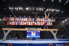 Final day of FIG Artistic Gymnastics Apparatus World Cup kicks off in Baku (PHOTO)