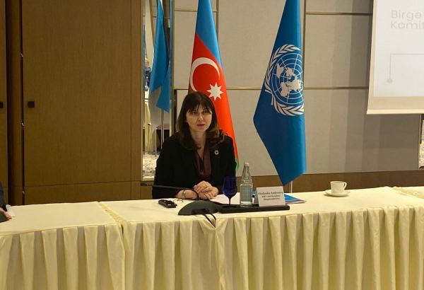 UN resident coordinator talks action plan in Azerbaijan for 2023