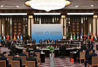 В Анкаре подписана декларация внеочередного саммита глав государств ОТГ