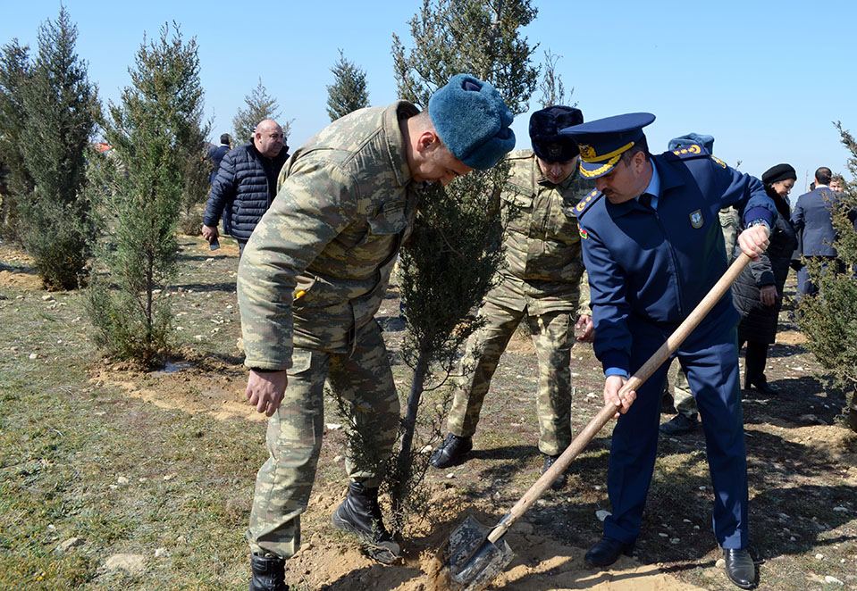 Azerbaijani Army holds tree planting campaign (PHOTO)