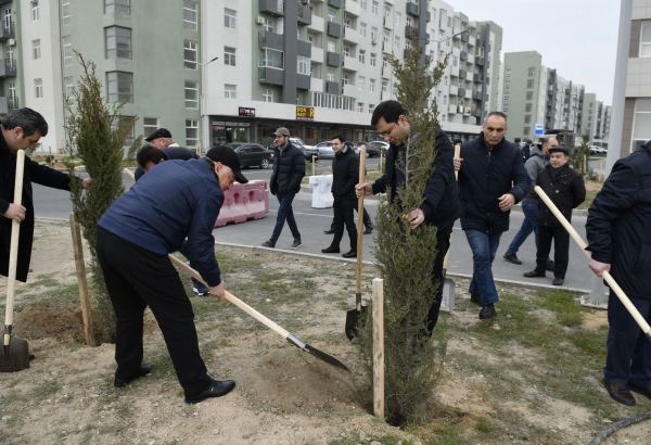 MİDA “Heydər Əliyev İli” çərçivəsində ağacəkmə aksiyası keçirib (FOTO)