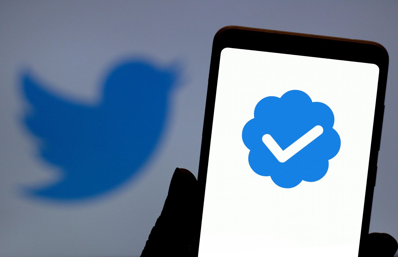 Маск сообщил, что платная подписка Twitter Blue стала доступна пользователям по всему миру