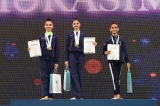 Azerbaijan Rhythmic Gymnastics Championship: juniors awarded (PHOTO)