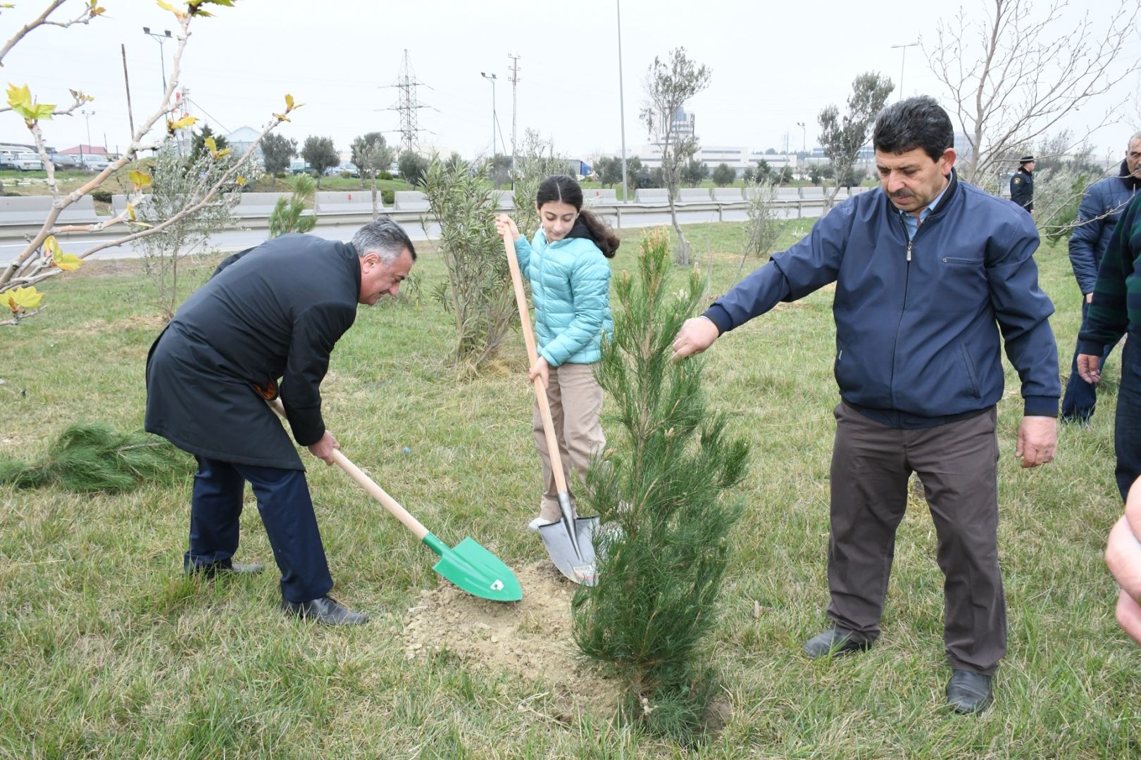 Abşeron rayonunda “Heydər Əliyev İli” çərçivəsində ağacəkmə aksiyası keçirilib (FOTO)