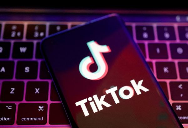 В Австрии чиновникам запретят использовать TikTok на служебных телефонах