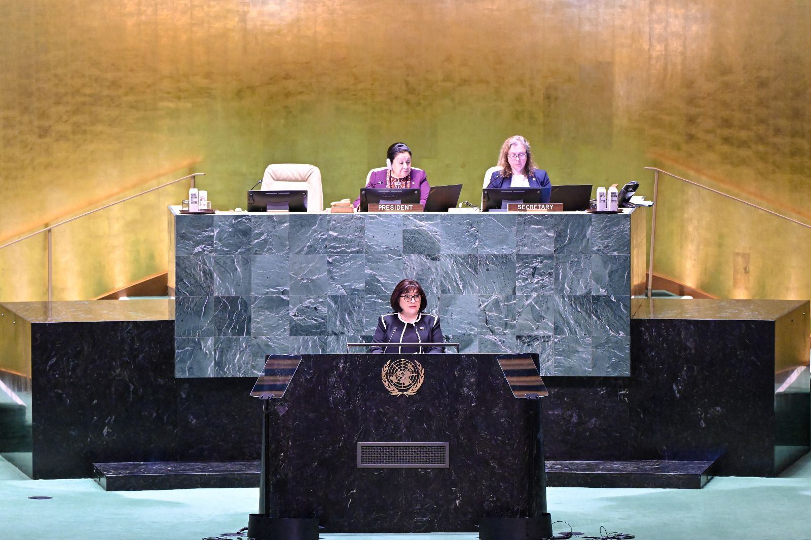 Сахиба Гафарова рассказала об экотерроре Армении на заседании ООН (ВИДЕО)
