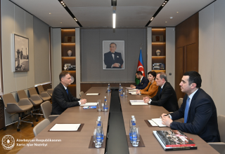 Azerbaijani FM meets with Head of Council of Europe Office in Baku