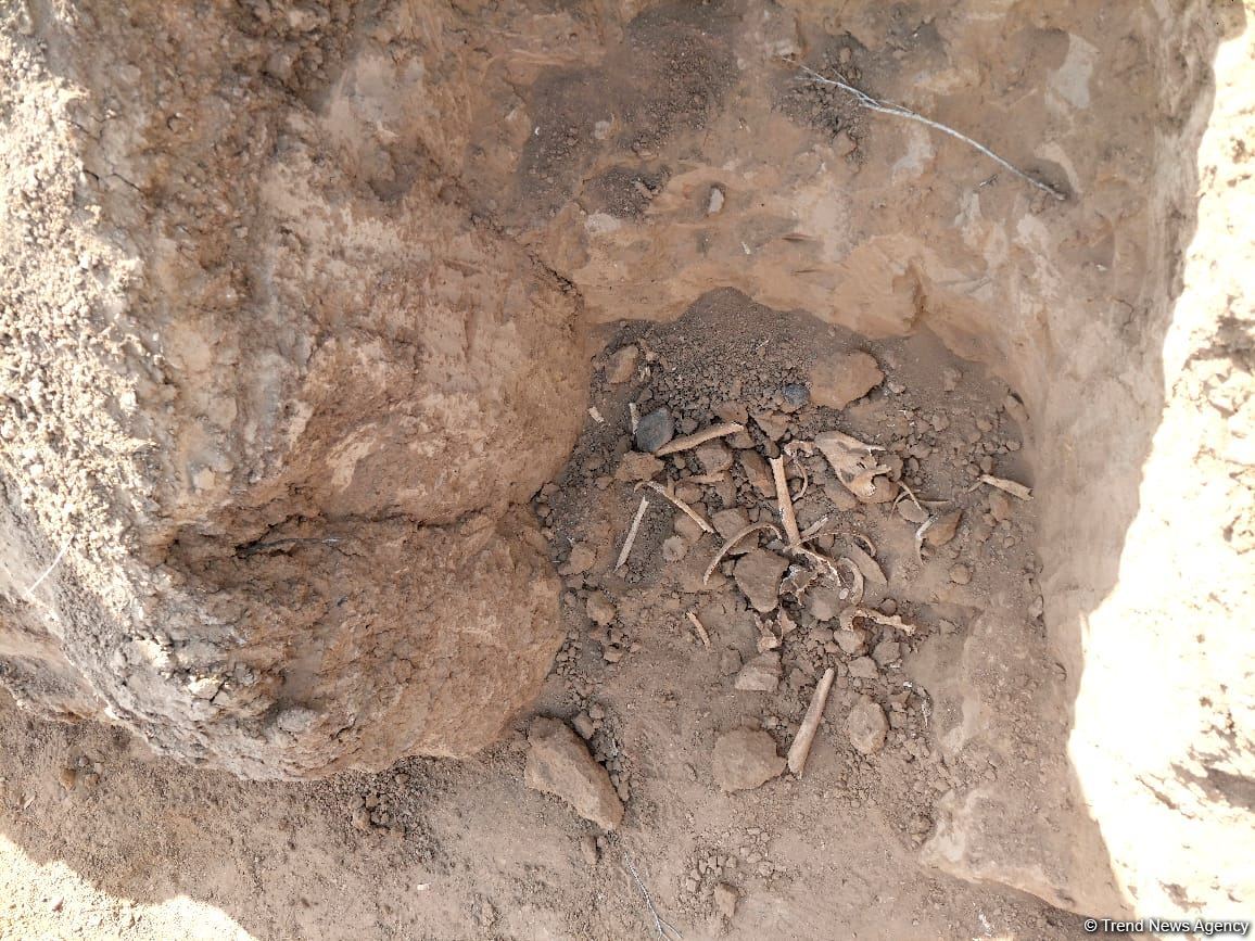 Распространены кадры человеческих останков, обнаруженных в Агдаме (ФОТО)