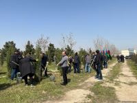 Ulu öndər Heydər Əliyevin 100 illiyinə həsr olunmuş ağacəkmə aksiyası keçirilib (FOTO)