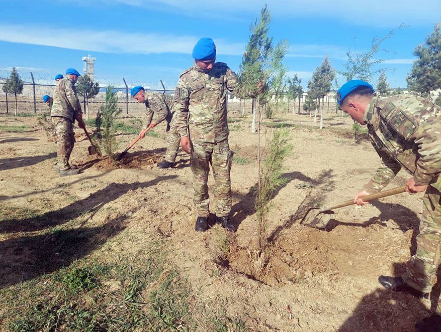 Azərbaycan Ordusunda keçirilən ağacəkmə aksiyaları davam edir (FOTO)