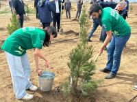 Azerbaijan's Aghdam marks 100th anniversary of Heydar Aliyev with tree-planting campaign (PHOTO)