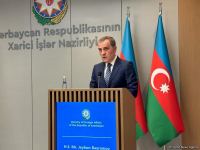 Azerbaijani FM, OSCE Chairman-in-Office hold press conference (PHOTO/VIDEO)