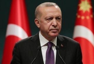 Эрдоган примет участие в открытии АЭС "Аккую" в онлайн-формате