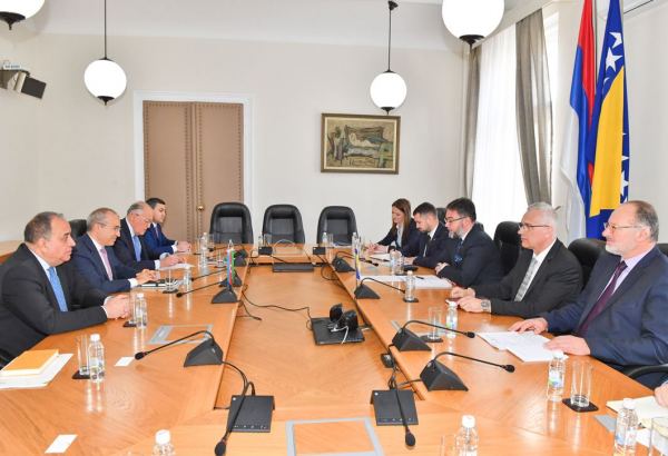 Azerbaijan, Bosnia and Herzegovina discuss priority areas of cooperation (PHOTO)