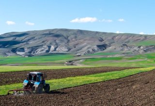 Утверждены изменения в Земельный кодекс Азербайджана